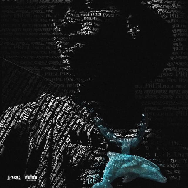 Jigsaw cover