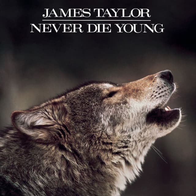 Never Die Young cover