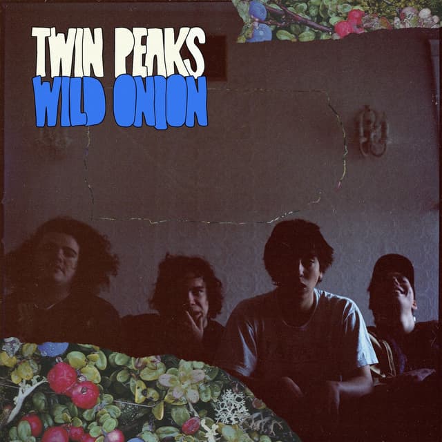 Wild Onion cover