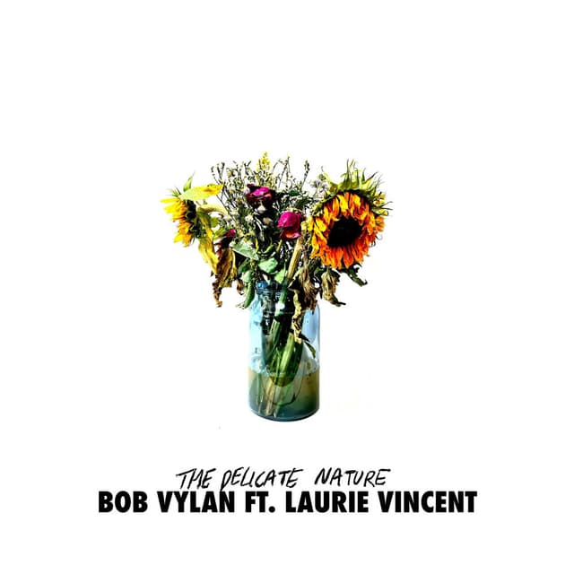 The Delicate Nature (feat. Laurie Vincent) cover