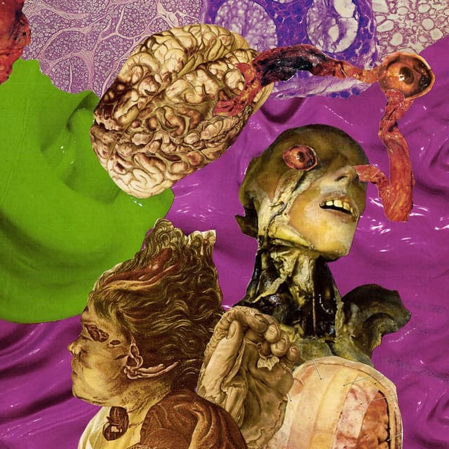 Colorblind cover