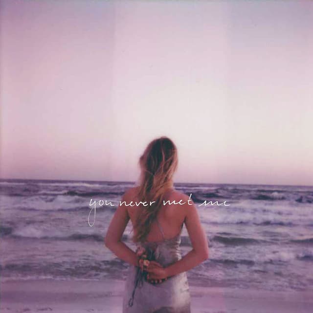 You Never Met Me cover