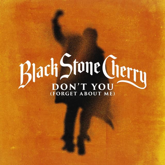 Don't You (Forget About Me) (feat. Tyler Connolly of Theory Of A Deadman) cover