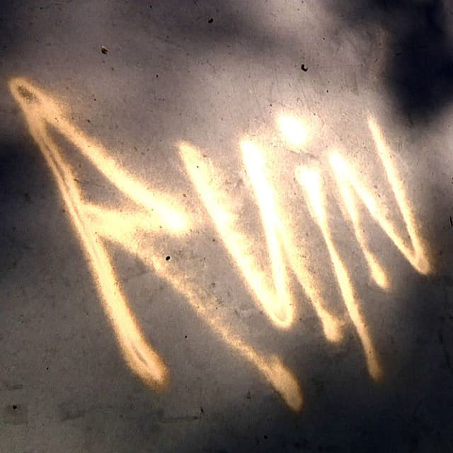 Ruin cover