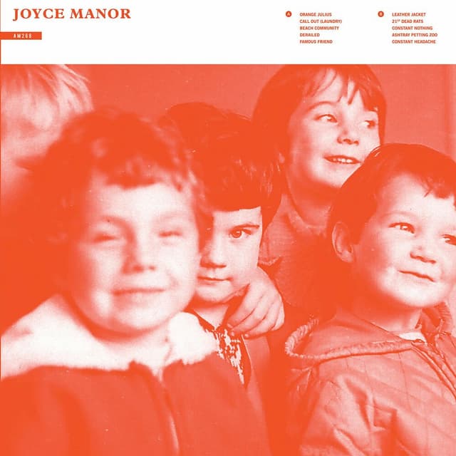 Joyce Manor cover