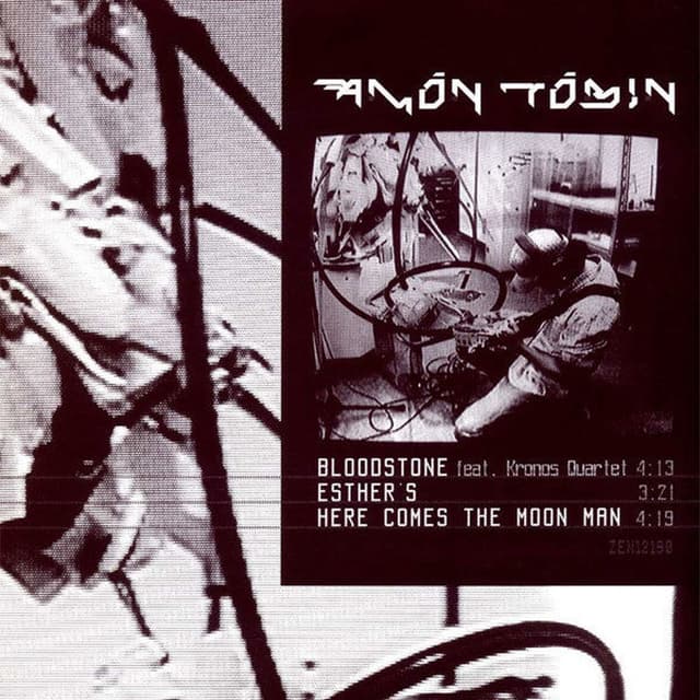 Bloodstone cover
