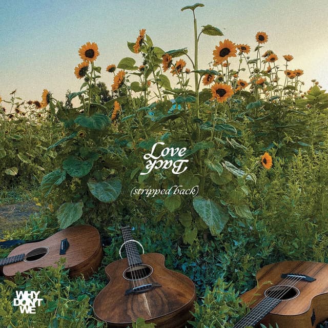 Love Back (Stripped Back) cover