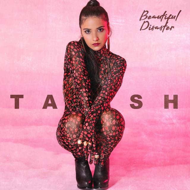 Beautiful Disaster cover