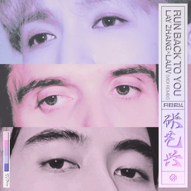 Run Back To You (VIDI Remix) cover
