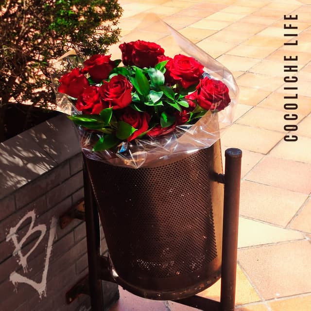 Cocoliche Life cover