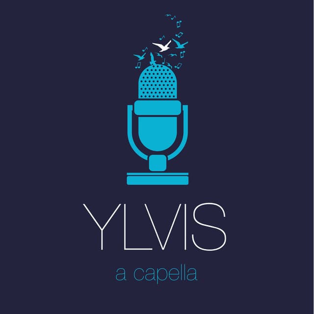 a capella cover