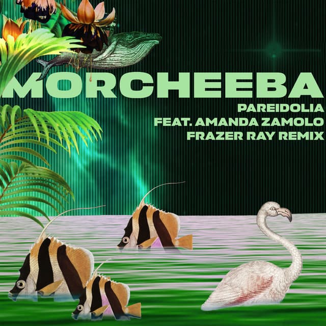 Pareidolia (Frazer Ray Remix) cover