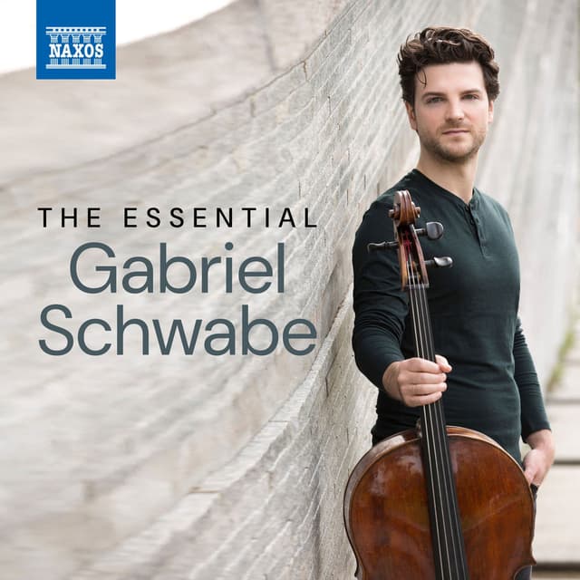 The Essential Gabriel Schwabe cover