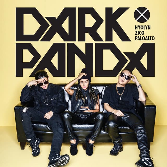 DARK PANDA cover