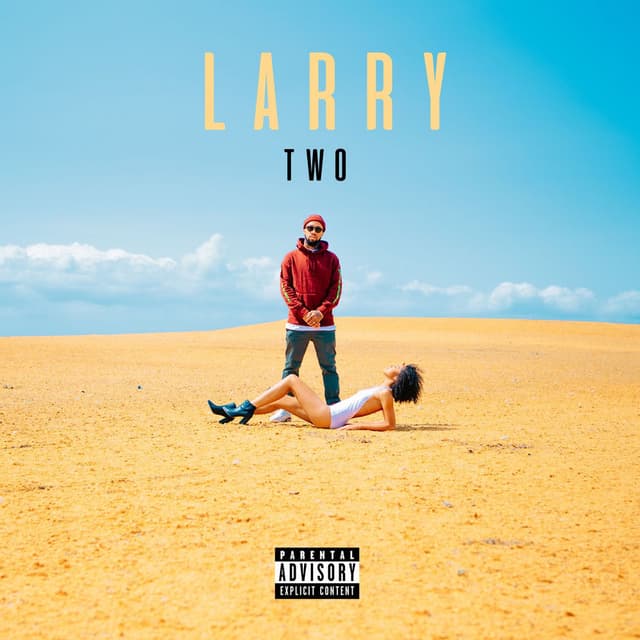 Larry TWO cover