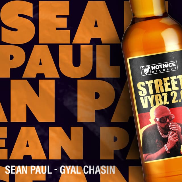 Gyal Chasin cover
