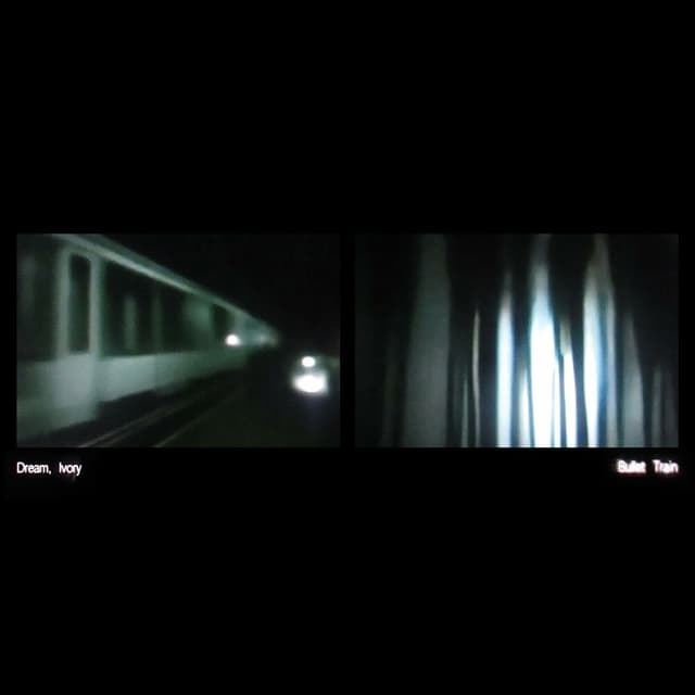 Bullet Train cover