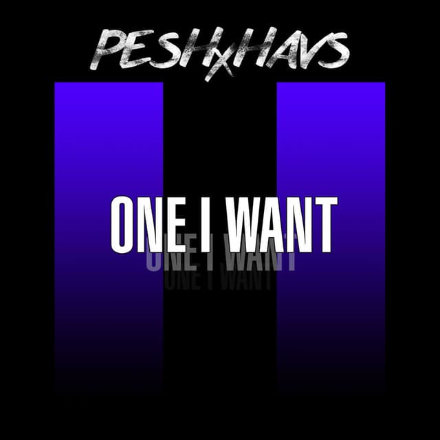 One I Want cover
