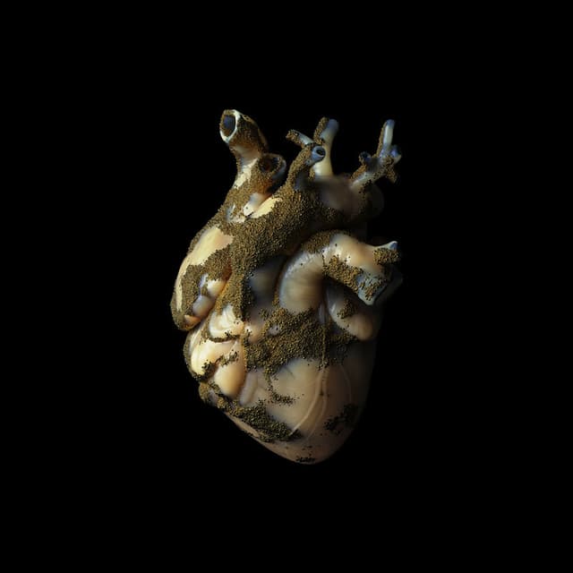 Uranium Heart album cover