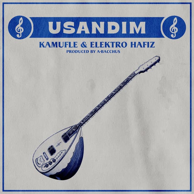 USANDIM cover