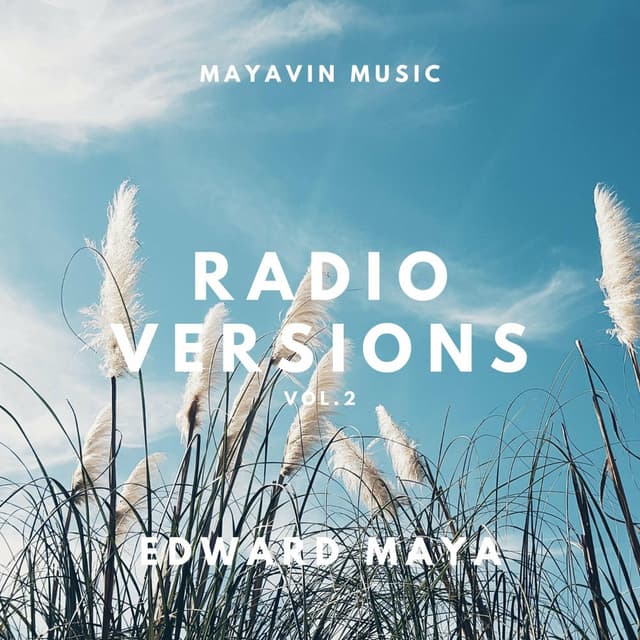 Radio Versions Vol. 2 cover