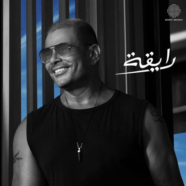 Ray'a cover
