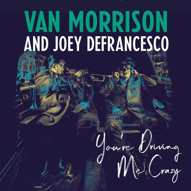 You're Driving Me Crazy album cover