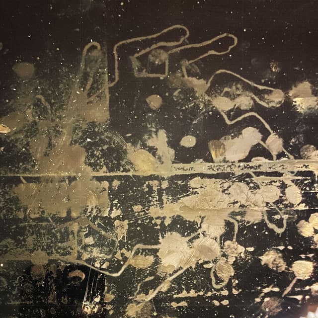Dirty Dog cover
