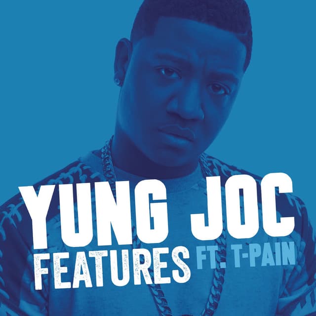 Features (feat. T-Pain) cover