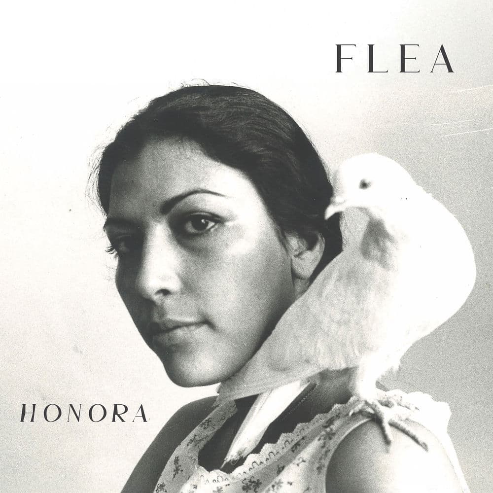 Honora cover