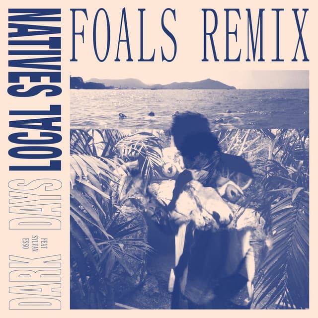 Dark Days (Foals Remix) cover
