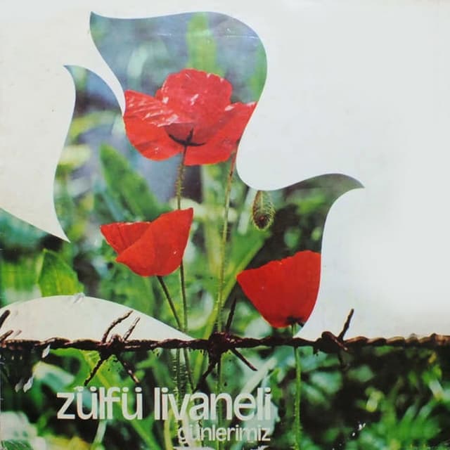Günlerimiz cover