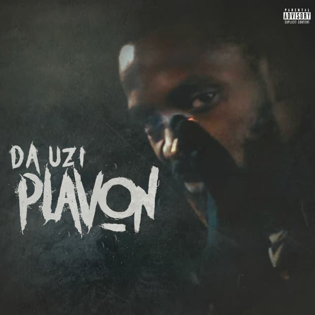 Plavon cover