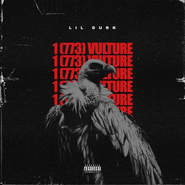 1(773) Vulture cover