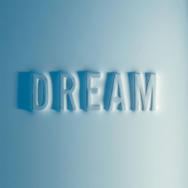 Bunny's Dream cover