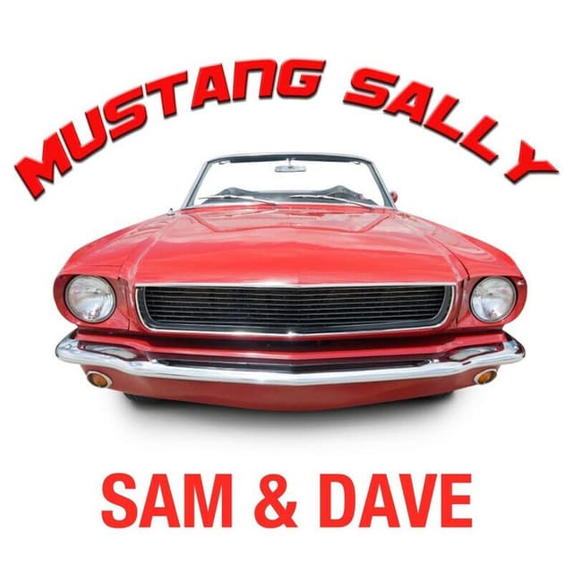 Mustang Sally cover