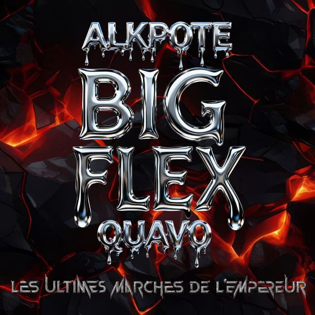 BIG FLEX cover