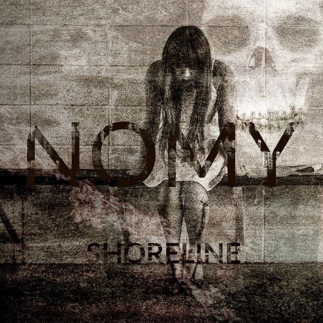 Shoreline cover
