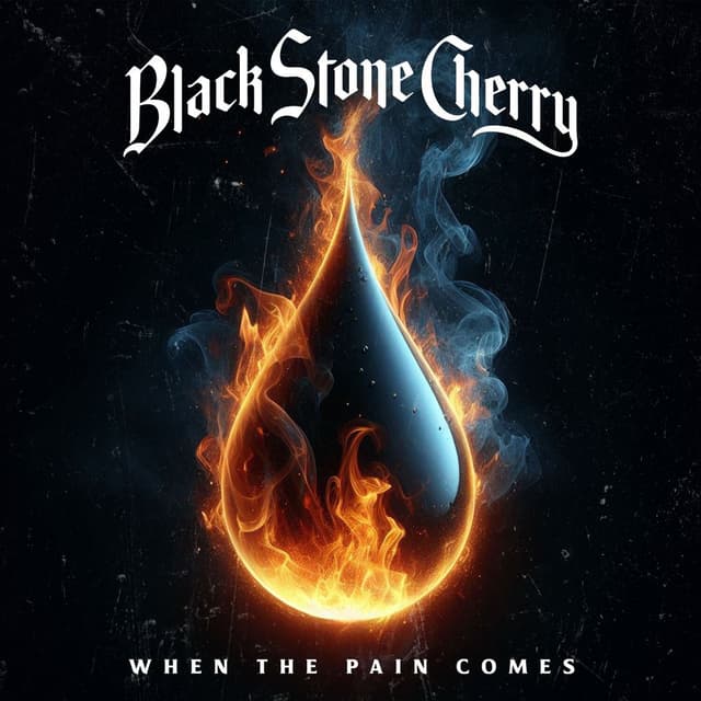 When The Pain Comes cover