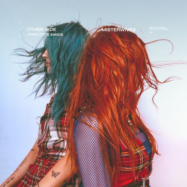 Other Side cover