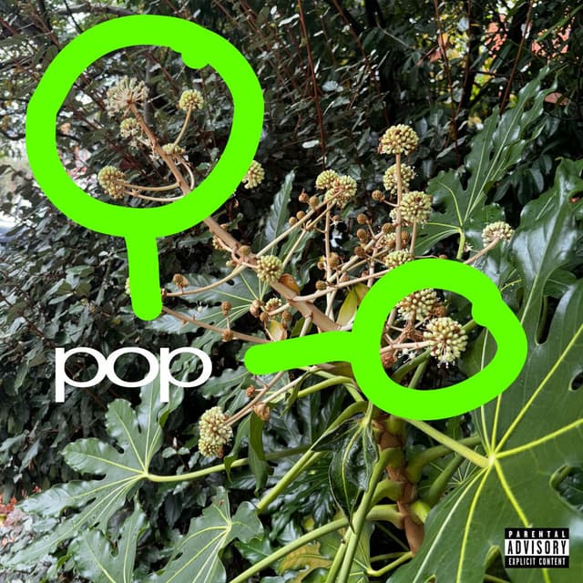 pop cover