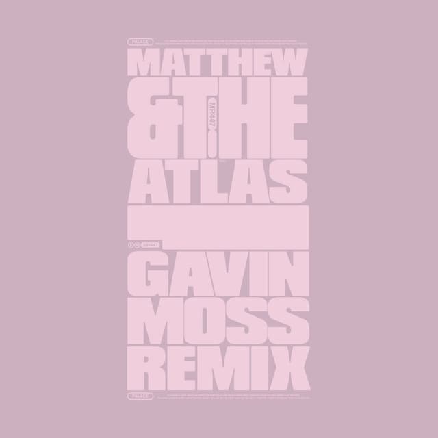 Palace (Gavin Moss Remix) cover