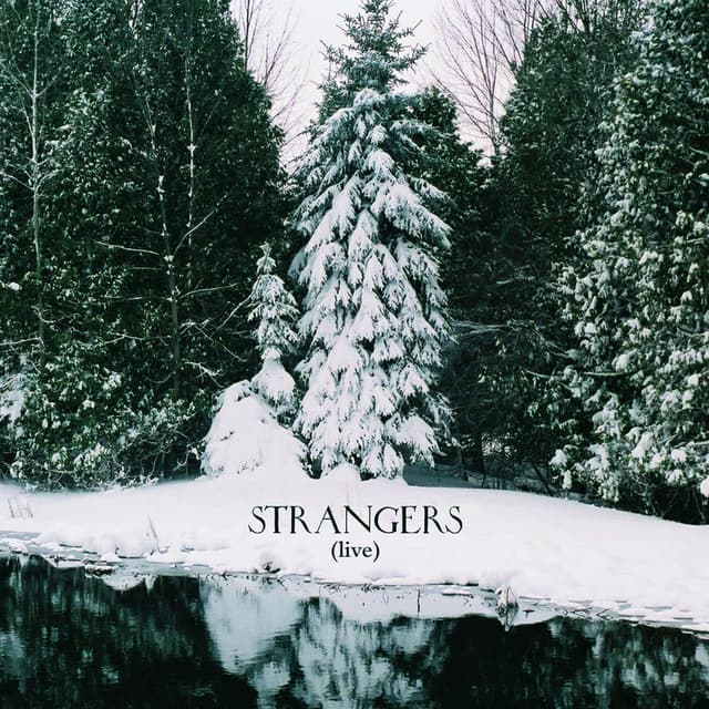 Strangers (Live) cover