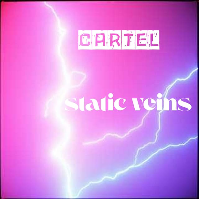Static veins cover