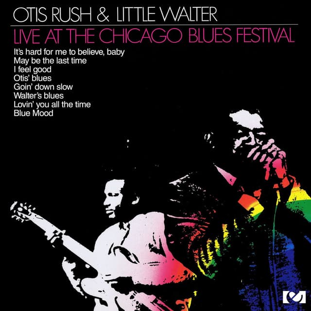 Live at the Chicago Blues Festival cover