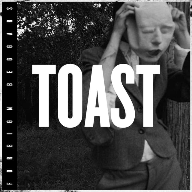Toast cover