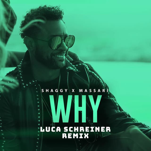 Why (Luca Schreiner Remix) cover