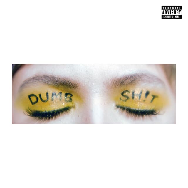 DUMB SH!T (REMIXES) cover