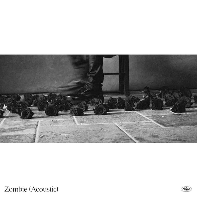Zombie (Acoustic) cover