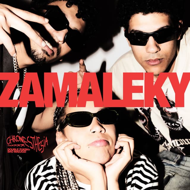 Zamaleky cover